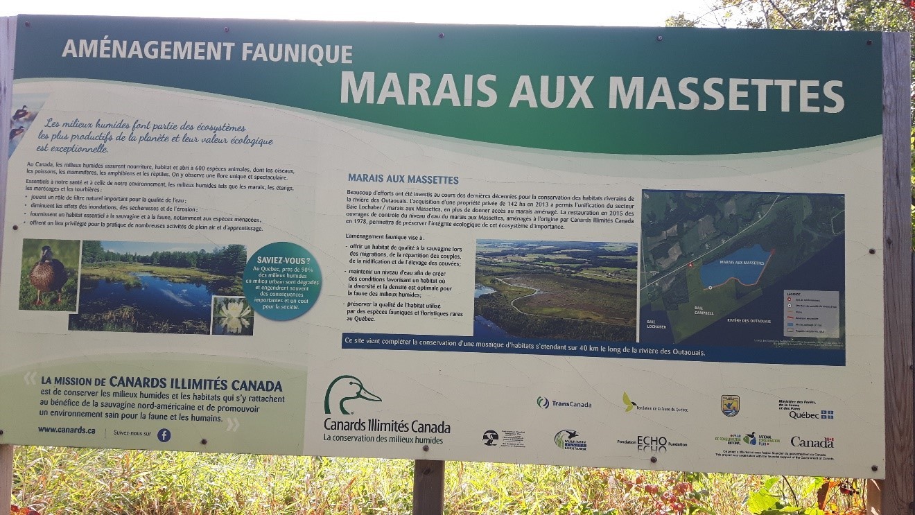 Affiche au Marais aux Massettes